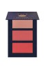 PIERRE RENE paleta kremowych róży do policzków Cream Contouring ART 01