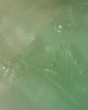 AXIS-Y Mugwort Green Vital Energy Complex Sheet Mask Rewitalizująca maska w płachcie